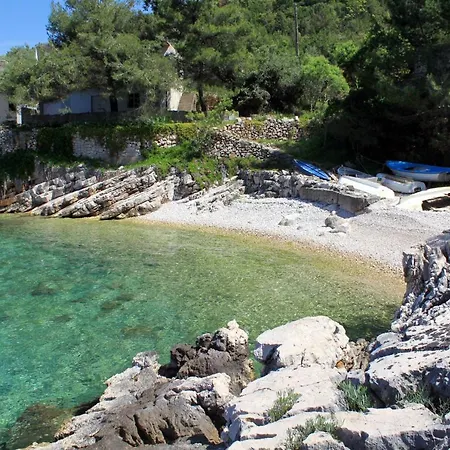 Seaside Holiday House Cove Zarace - Gdinj, Hvar - 4603 Holiday home *