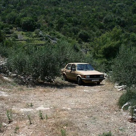 Seaside Holiday House Cove Zarace - Gdinj, Hvar - 4603 Gdinj