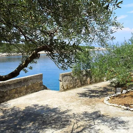 Seaside Holiday House Cove Zarace - Gdinj, Hvar - 4603 Holiday home